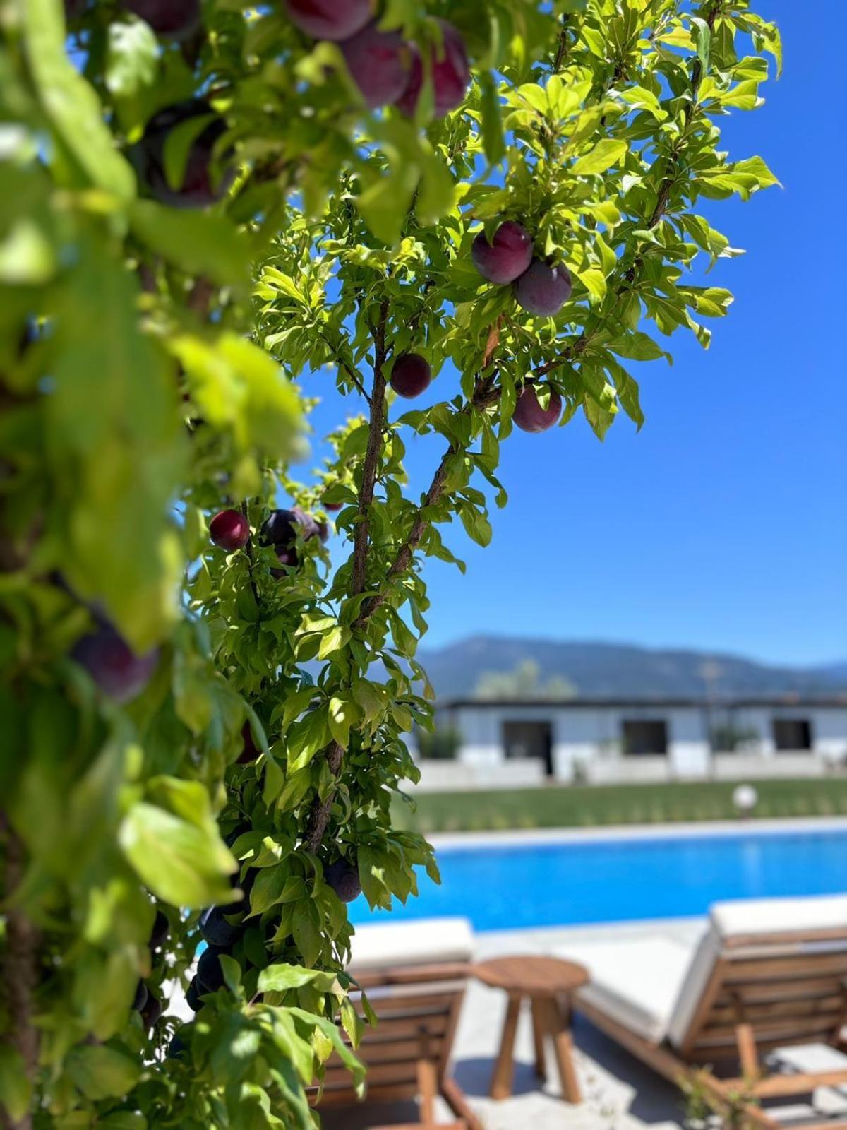 Casa Mora Aparthotel Edremit  Bagian luar foto